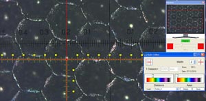 Cilindro anilox con luce coassiale e microscopio 2034-100 (60 linee/cm)