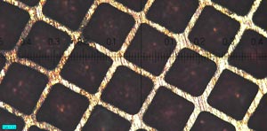 Cilindro rotocalco 60 linee/cm con luce coassiale e microscopio 2034-100
