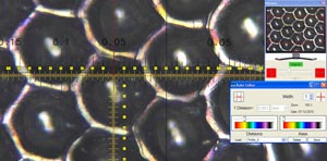 Cilindro anilox con luce coassiale e microscopio 2034-300 (140 linee/cm)