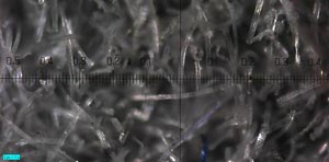 Fibra di tessuto con led penlight e microscopio 2034-100